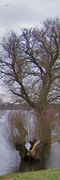 Naturwachttagung 2009 Biosphärenreservat Flusslandschaft Elbe